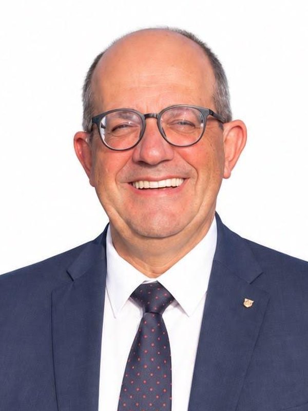Oscar Simao, Membro di comitato USMH