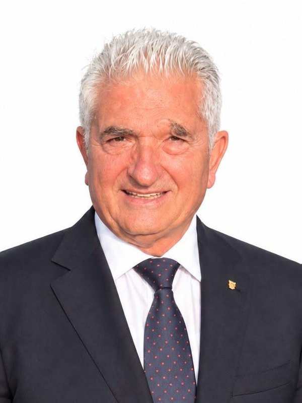 Luigi Scaminaci, Membro di comitato USMH