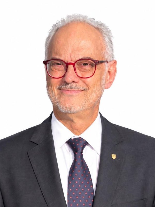 Nome Cognome, Vicepresidente USMH